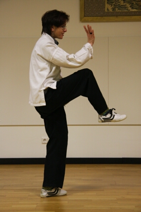 Heike A. Goppelt-Kuhl - Tai-Chi-Ch'uan, das Chinesische Schattenboxen Heike A. Goppelt-Kuhl - Tai-Chi-Ch'uan, das Chinesische Schattenboxen