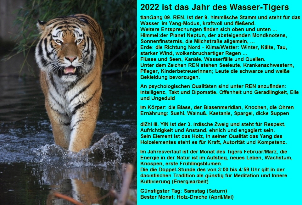 2022 ist das Jahr des Wasser-Tigers 09.REN III. YIN