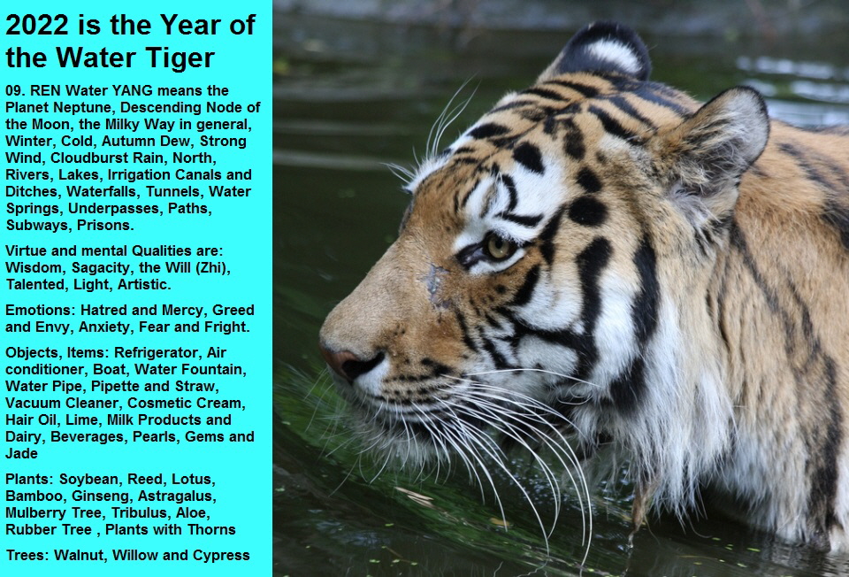 2022 ist das Jahr des Wasser-Tigers, Photo Uli Limberg, Danke - mit Text EN 960x652